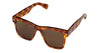 CUT EIGHTY-EIGHT HAVANA / BROWN